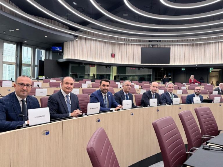Zbardhen amendamentet e PD Parlamentin Europian që morë mbështetjen e eurodeputetëve, por u votuan kundër nga PS