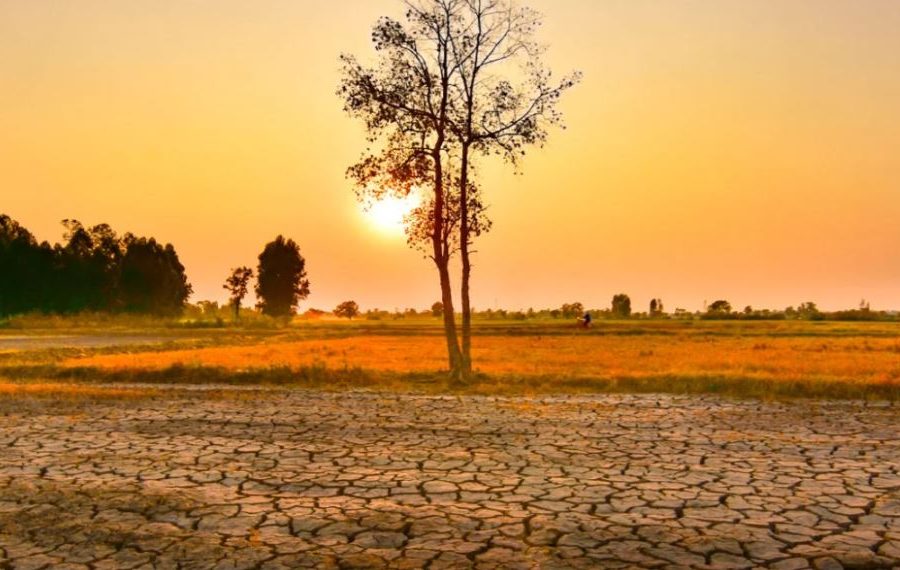 Paralajmërimi i OKB: Fenomeni El Niño është jashtëzakonisht i fortë, çfarë tregojnë të dhënat për Evropën?