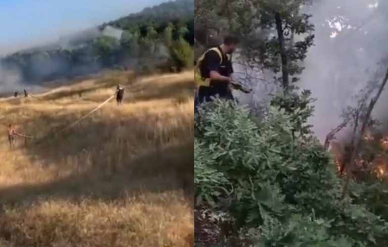 Temperaturat e larta, dy vatra zjarri në Prrenjas. Zjarrfikësit në vendngjarje (VIDEO)