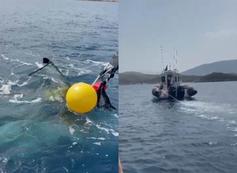 E rëndë në Ksamil, gjendet trupi i pajetë i një peshkatari. Detajet e para (VIDEO)