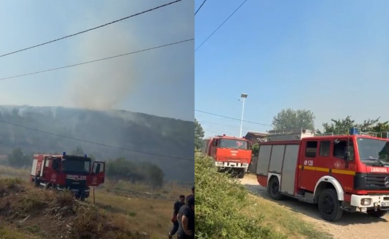 Përfshihen nga flakët tokat e fshatit Rromës në Mallakastër, digjen ullishte dhe sipërfaqe bujqësore (VIDEO)