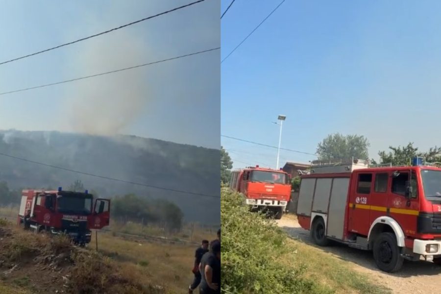 Përfshihen nga flakët tokat e fshatit Rromës në Mallakastër, digjen ullishte dhe sipërfaqe bujqësore (VIDEO)
