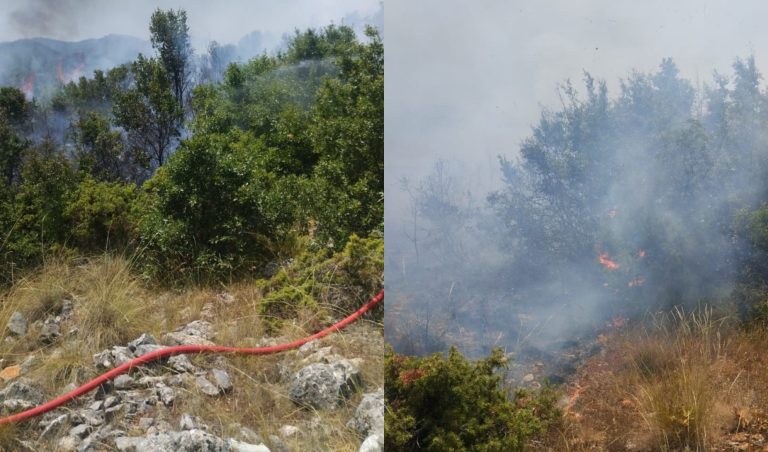 Zjarr në kodrinat e Qafë Thanës, dyshohet se nisi nga djegia e disa gomave! Ndërhyjnë zjarrfikësit e Pogradecit