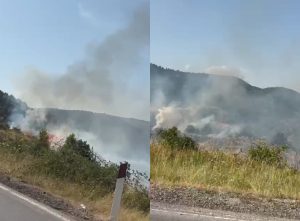 Vatër zjarri në fshatin Gjonomadh të Korçës, forcat zjarrfikëse në vendngjarje (VIDEO)