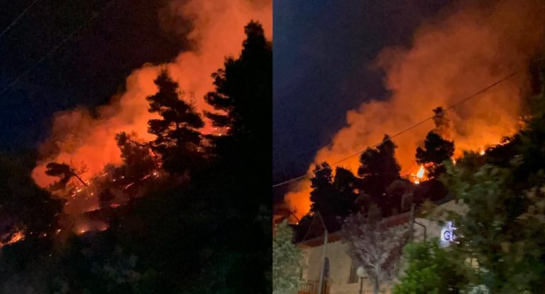 Zjarr në malin e Shëngjinit, zjarrfikësit në vendngjarje (VIDEO)
