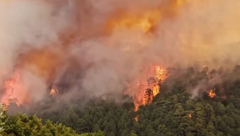 Lamallari: Zjarrvënia është krim, dënohet deri në 15 vite burg