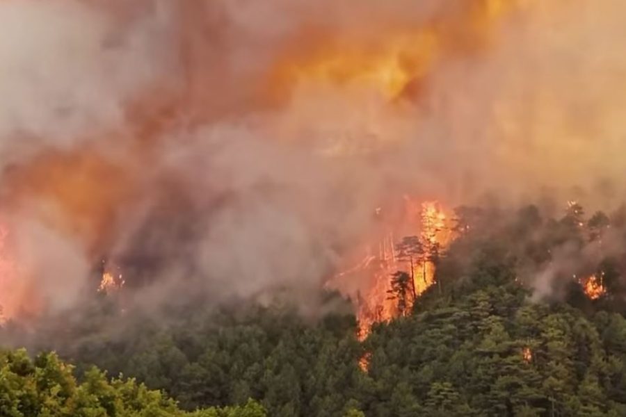 Lamallari: Zjarrvënia është krim, dënohet deri në 15 vite burg